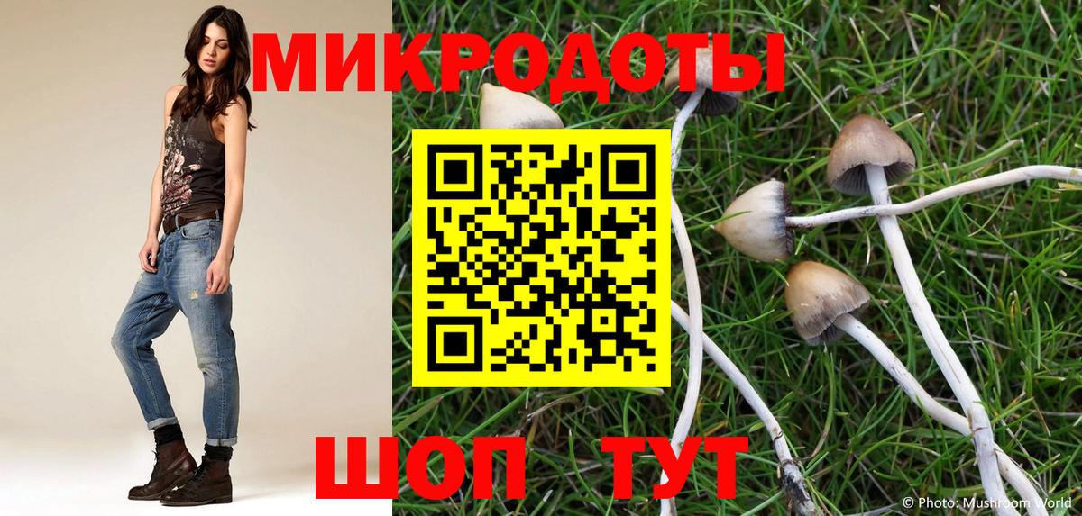 Псилоцибиновые грибы ЛСД Котельники